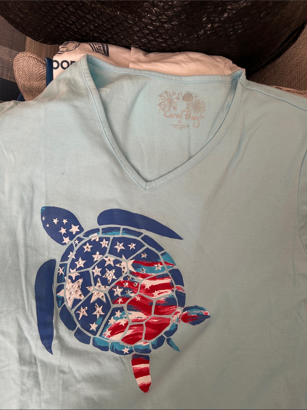 Coral Bay Light Blue V-Neck Tee with American Flag Turtle